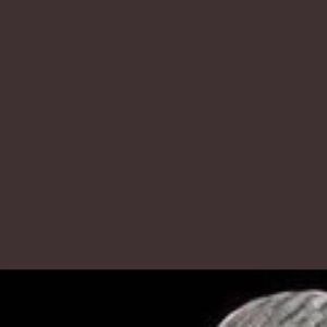 Meet your Posher, Aj